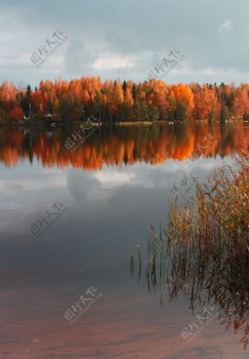 秋天湖景图片