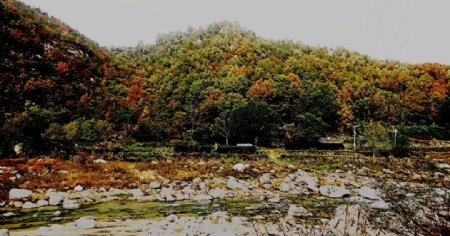 河边的秋山图片