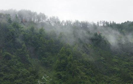 雾蒙蒙的山图片
