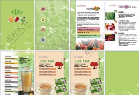 草本鮮子健康手册图片