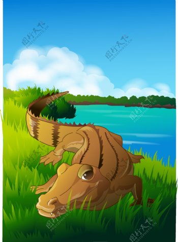 可爱动物绿色沼泽鳄鱼图片