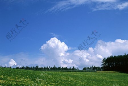 美丽的自然风景图片