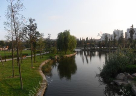 湖里的风景图片
