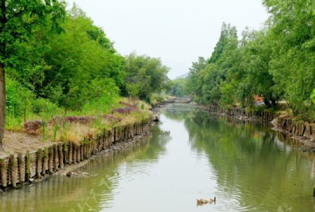 河道图片