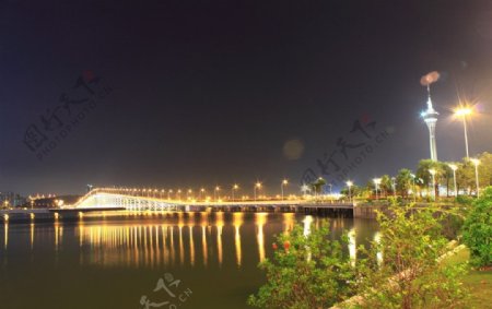 澳门嘉乐庇总督大桥夜景图片