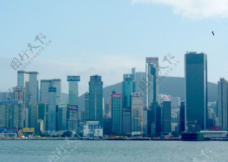 香港铜锣湾海景图片