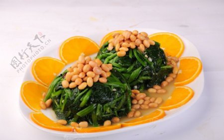 黄豆菜心图片