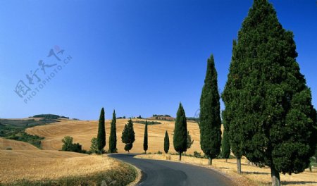Italy公路风光图片