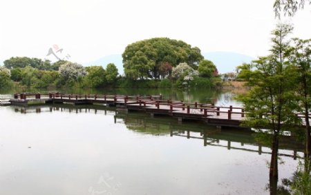 尚湖图片
