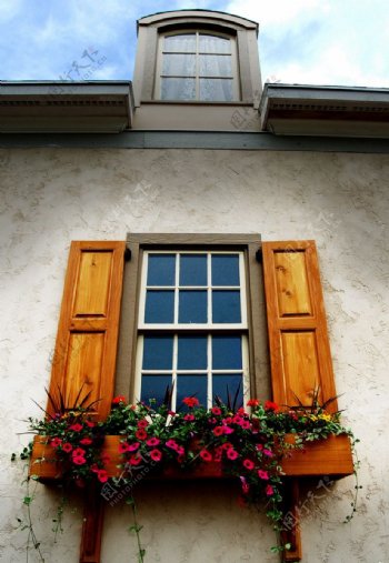 窗台花盆图片
