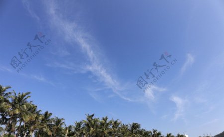 椰树上的天空图片