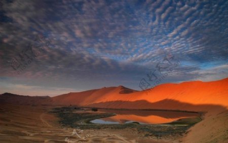 额济纳沙漠风景图片