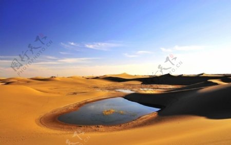 额济纳沙漠风景图片
