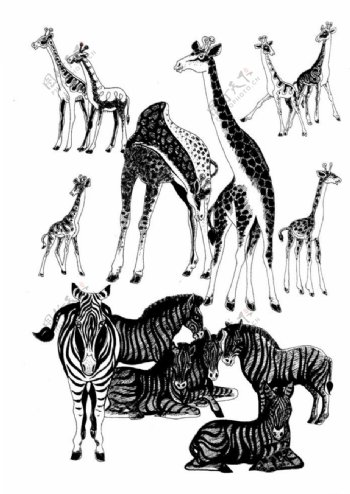 现代装饰动物图案长颈鹿图片