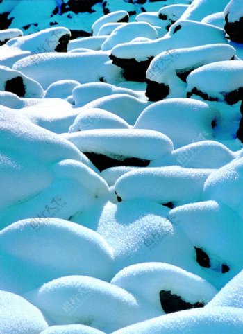 新疆冬景图片