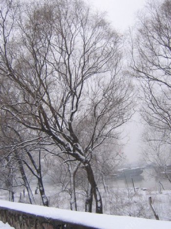 雪景图片