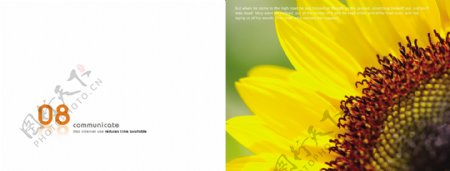 花卉画册封面图片