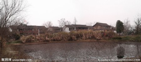 西溪湿地全景图环拍图片