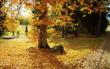秋季美景图片