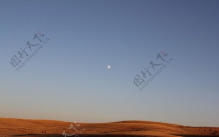 沙漠美景图片