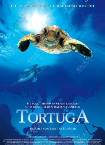 海龟奇妙之旅电影海报图片