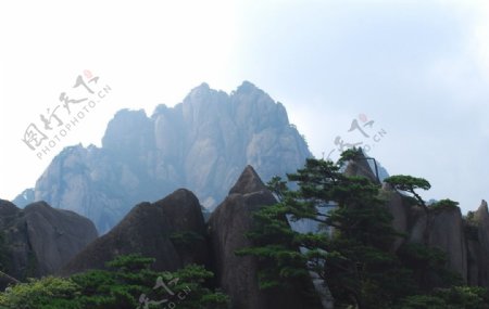 黄山景观图片