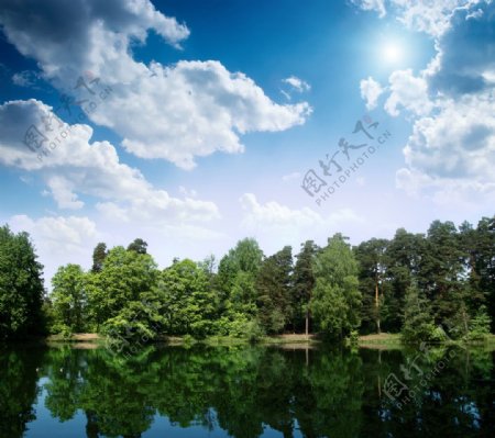 美丽的湖水树林蓝天白云图片