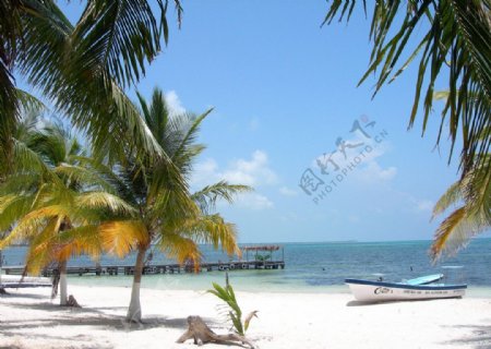 海南椰树沙滩风景图片