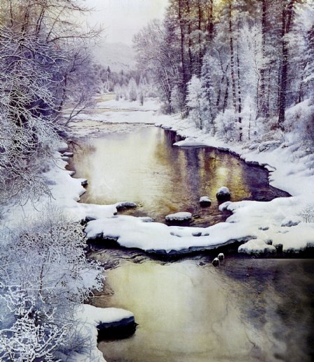 森中雪图片