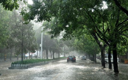 青州雨中街景图片