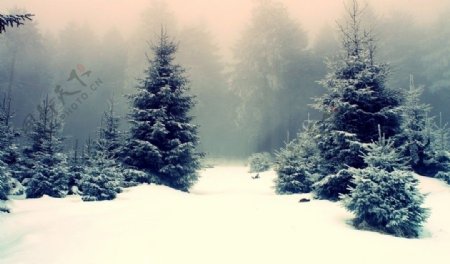 雪景图片