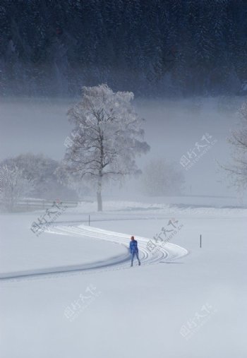 林海雪原图片