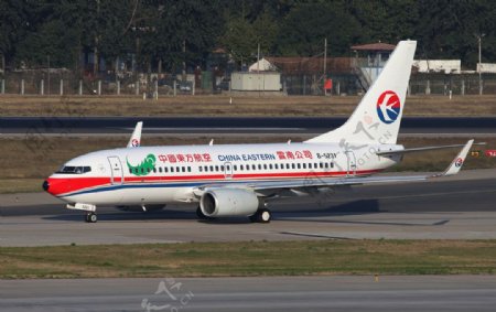 东航737云南绿羽毛图片
