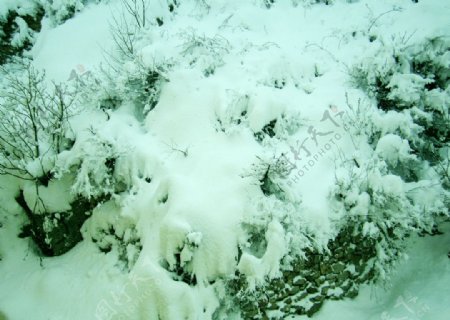 昆嵛山雪景图片