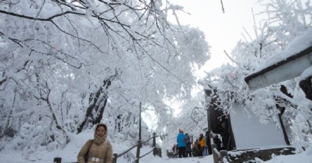 雪地图片