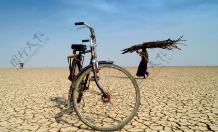 骑行沙漠自行车图片