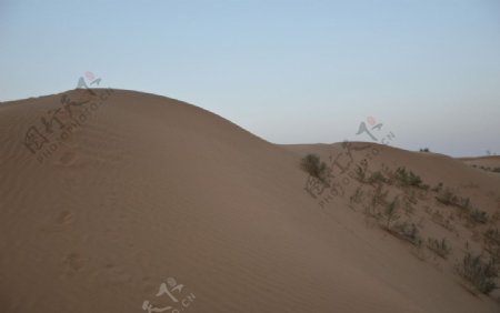 腾格里沙漠沙坡头图片