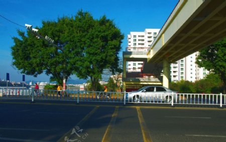 中国桥梁梅州桥图片