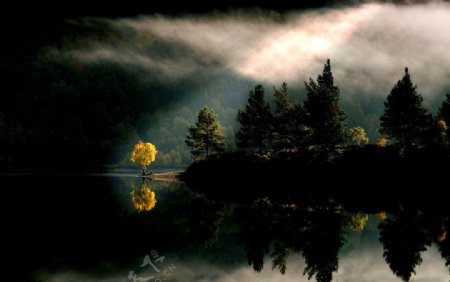 丛林之美风光如画森林树林树木湖泊湖水河流阳光云层彩云图片