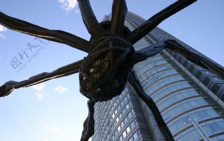 蜘蛛外型建筑图片