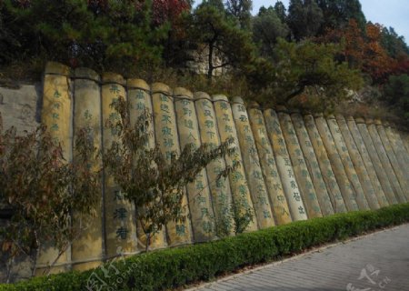 巨型竹书图片