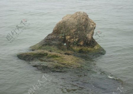 浮出水面的石头图片