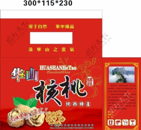 核桃高品质核桃图片