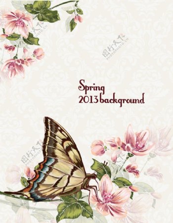 春天蝴蝶花朵背景图片