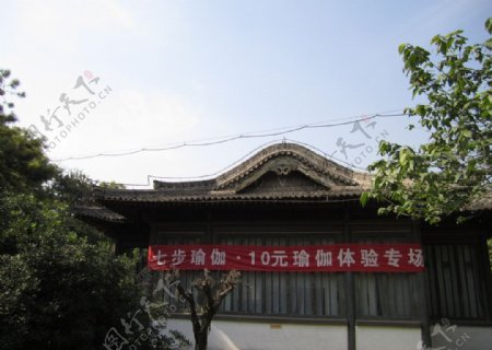 兴庆宫风景图片