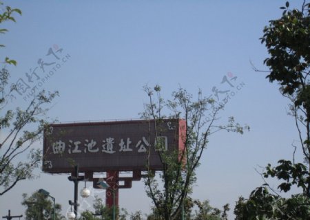 曲江池风景图片