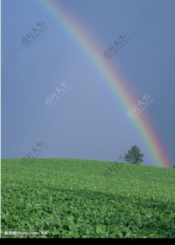 彩虹的图片