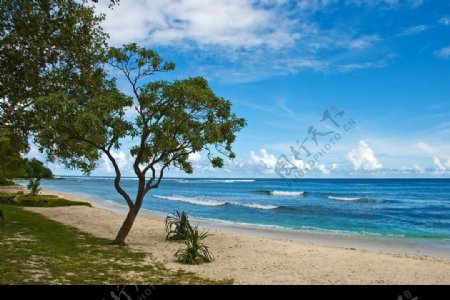 瓦努阿图埃法特岛风光图片