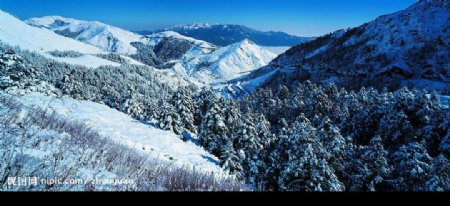 雪景高清图片