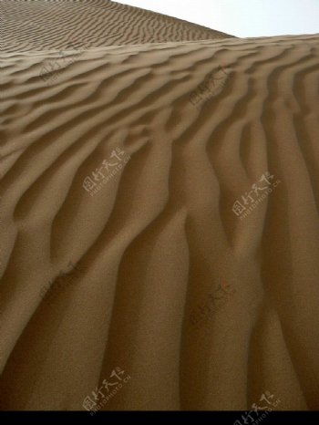 大沙丘图片